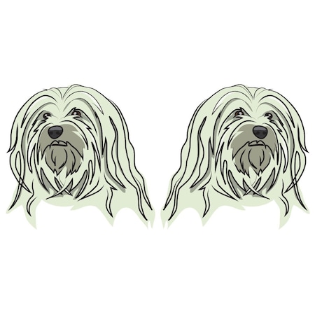 Signmission Havanese Dog Decal, Dog Lover Decor Vinyl Sticker D-24-Havanese